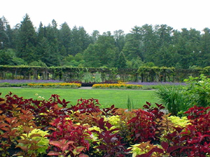 Biltmore Estates gardens